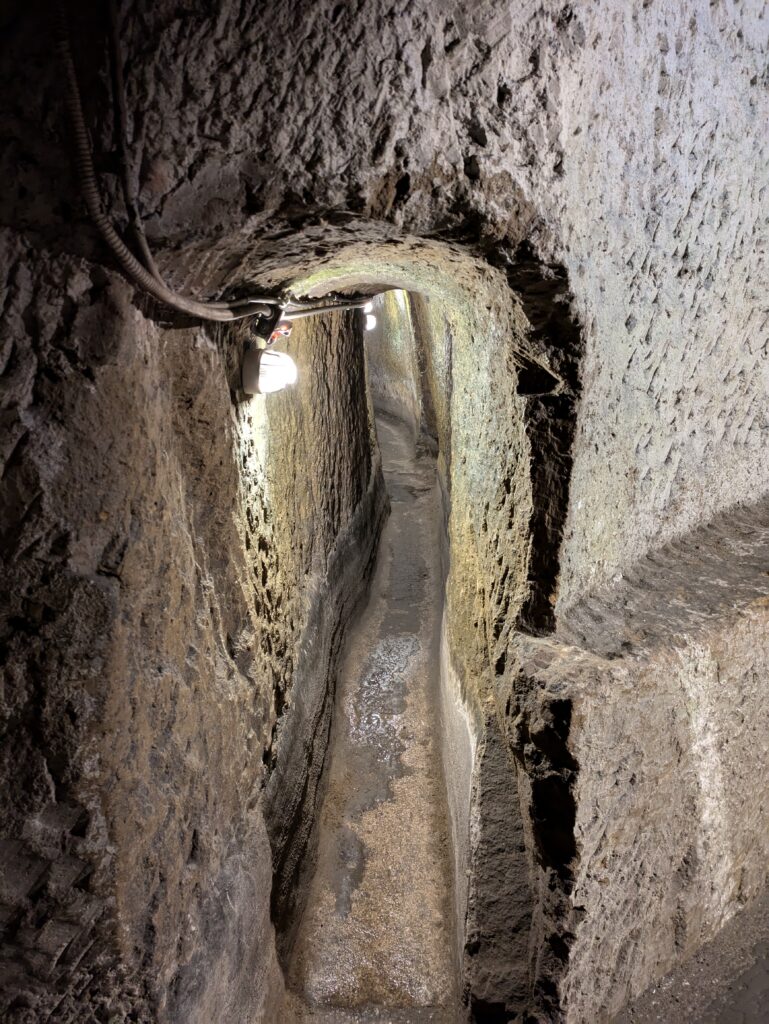PXL_20240928_093550383