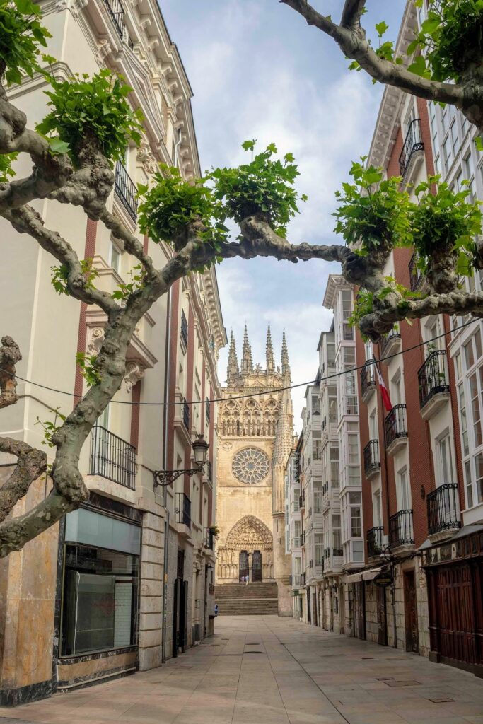 cathedral-7278228_1920