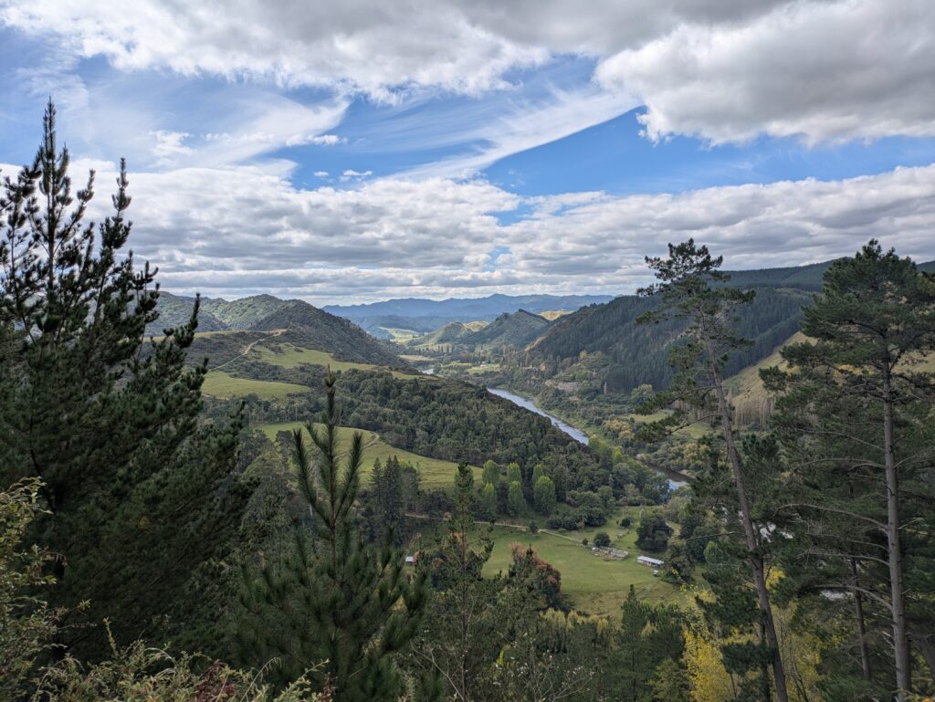 NZ